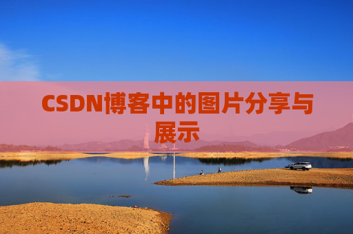 CSDN博客中的图片分享与展示